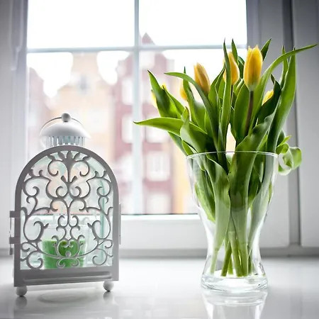 Apartment Euro Piwna Gdansk